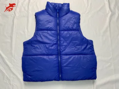 Asiapo China Factory Blaue ärmellose Winter-Kurzoberbekleidung für Damen mit warmem Stand